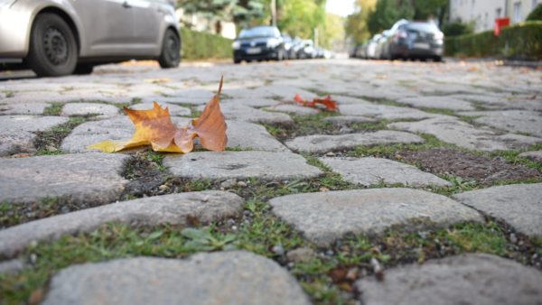 Das Großsteinpflaster ist ein Flächendenkmal Foto: Nina