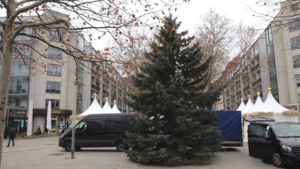 Kleiner Weihnachtsbaum am Augustusmarkt
