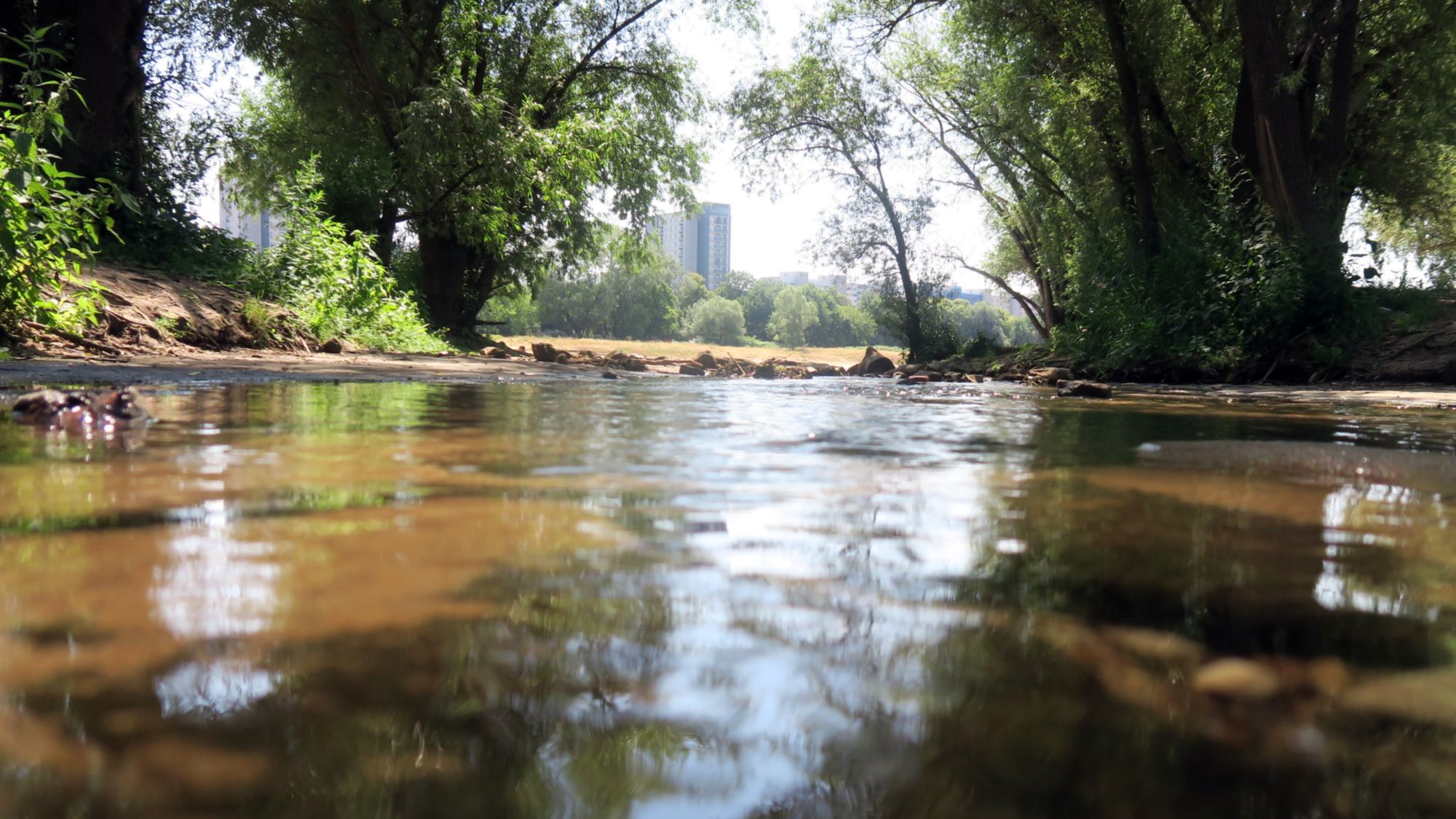 Prießnitzmündung im Sommer 2019 - Foto: Archiv Anton Launer