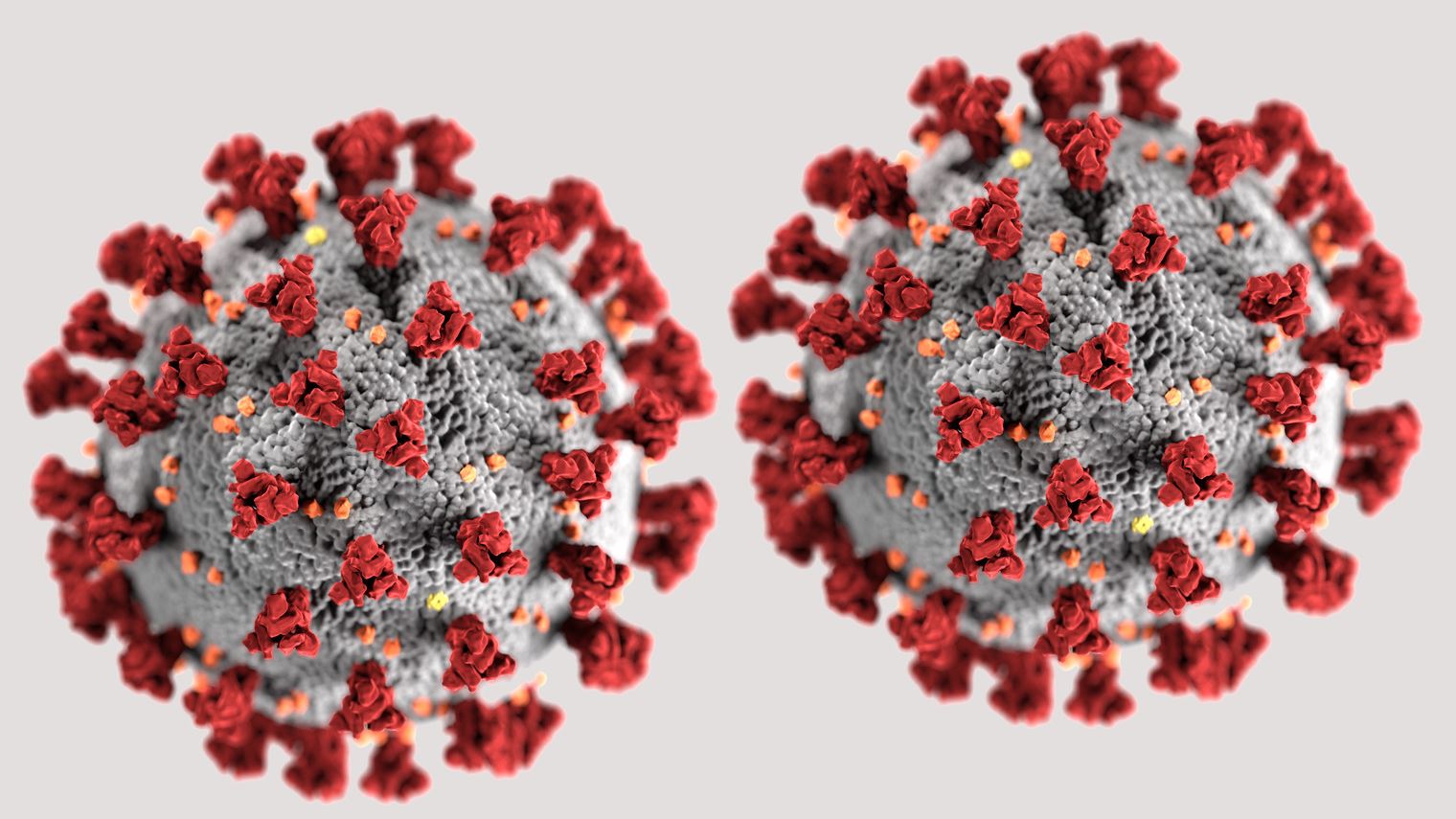 SARS-CoV-2 (neuartiges Coronavirus), Abbildung des Centers for Disease Control and Prevention (CDC)