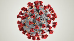 SARS-CoV-2 (neuartiges Coronavirus), Abbildung des Centers for Disease Control and Prevention (CDC)