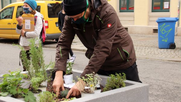 Am Sonnabend wurden die ersten Pflanzen gesetzt - hauptsächlich Kräuter wie Minze, Oregano und Thymian.