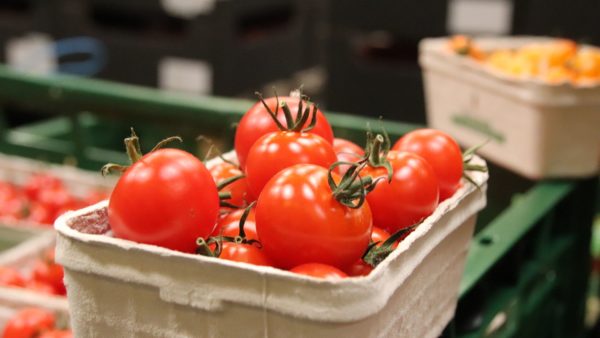 Frische Tomaten aus der Region.