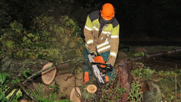 Ein Feuerwehrmann zerlegt den abgebrochenen Ast. Foto: Roland Halkasch