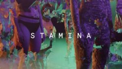 Performanceausstellung „Stamina“ - Collage: eulervoid