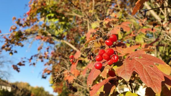 Mitten im Herbst gibt's ab morgen die Winterzeit.