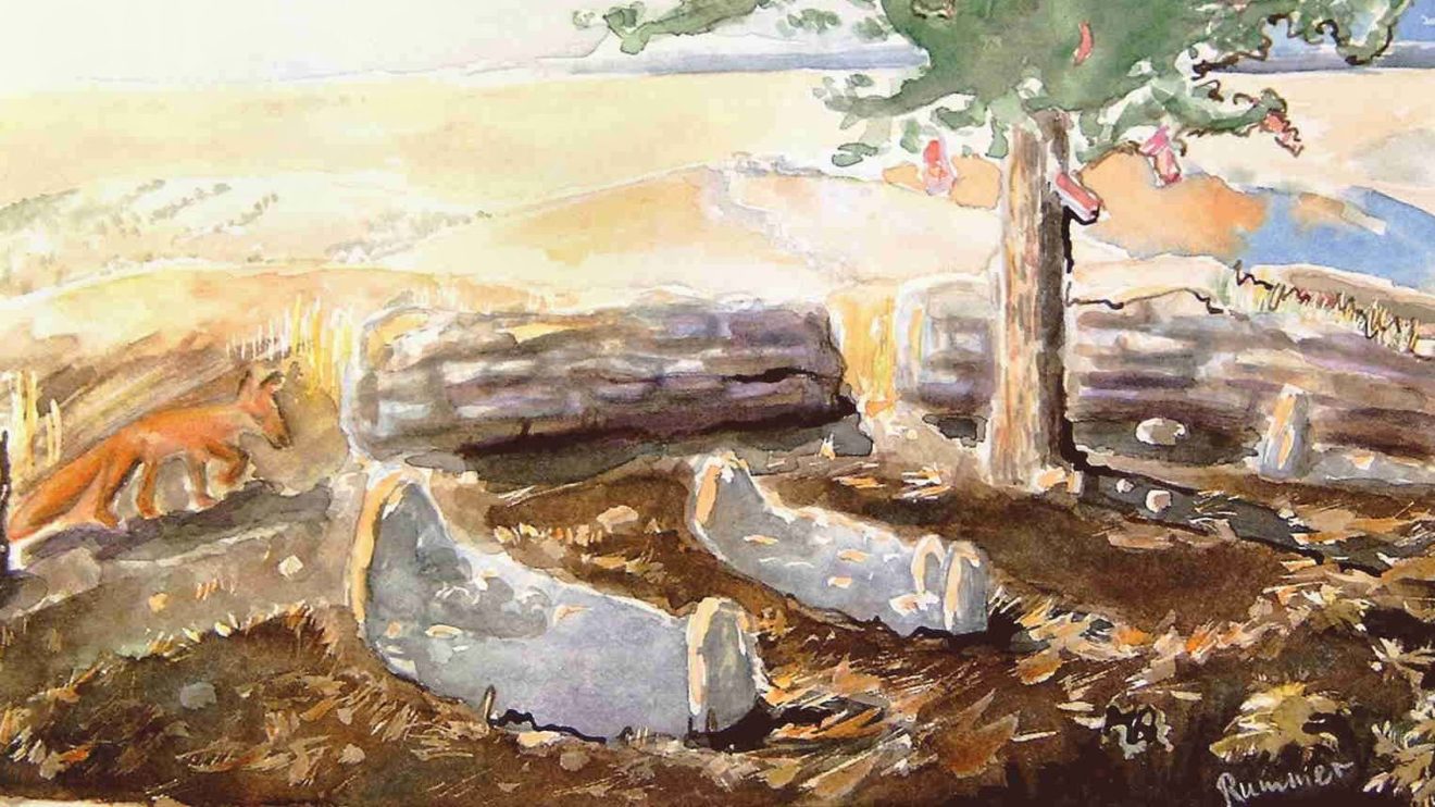 Wunschbaum - Aquarell von Matthias Rummer