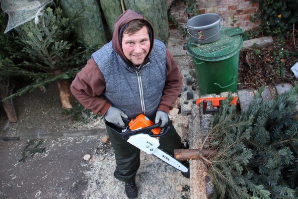 Hier wird jeder Baum passend gemacht.