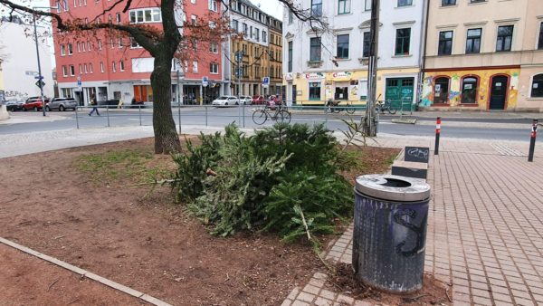 Weihnachtsbaumlagerstätte am Alaunplatz