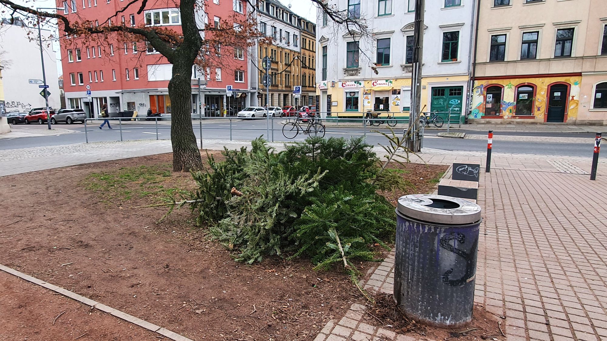 Weihnachtsbaumlagerstätte am Alaunplatz