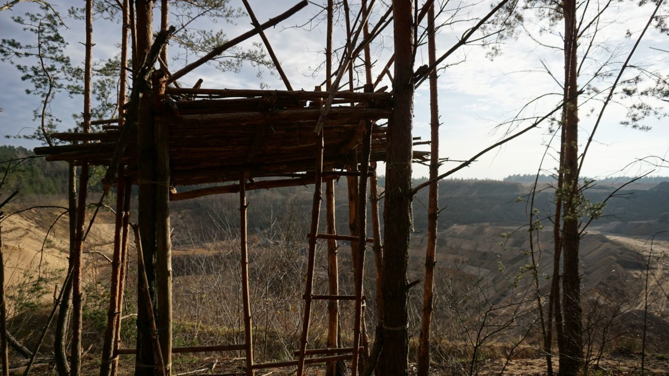 Auf in die Heide