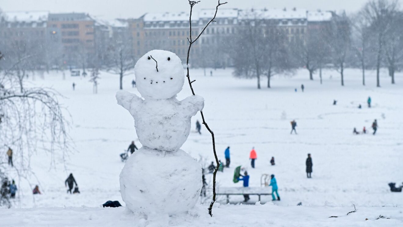 Der Schneemann freut sich. Foto: Anja Schneider