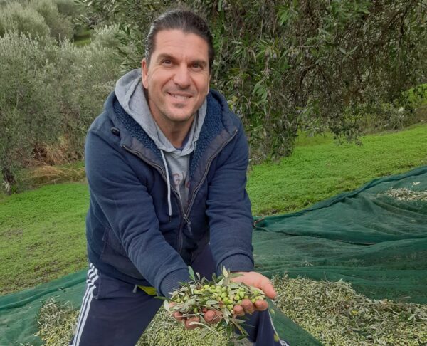 Theodoros Vichos bei der Olivenernte in seinem Heimatdorf Vorizia. Foto: privat