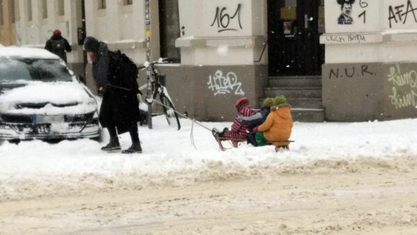 Der Schlitten scheint im Moment das geeignetste Fortbewegungsmittel. Foto: Philine