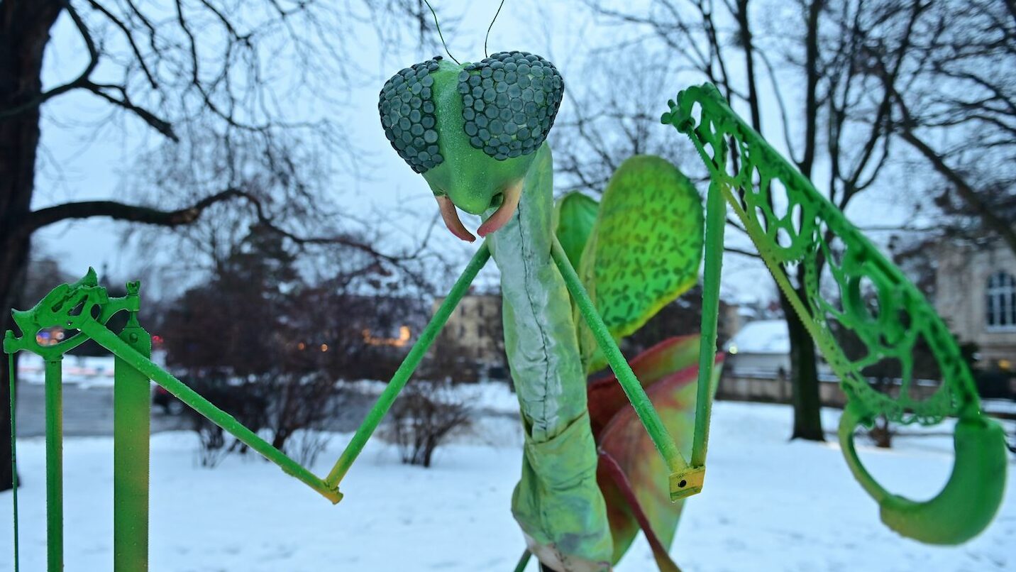 En Lächeln für die Passanten, aber Vorsicht "scharf und bissig" - Foto: Anja Schneider