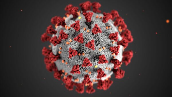 Corona-Virus-Modell