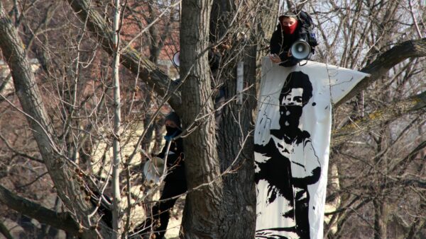 Protest aus dem Baum heraus.