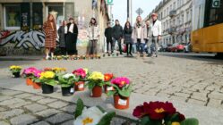 Mit Primeln in den Frühling