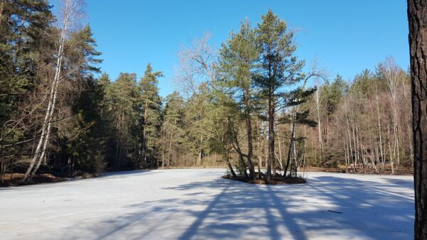 Insel im Schnee-See - Foto: Jonas Breitner