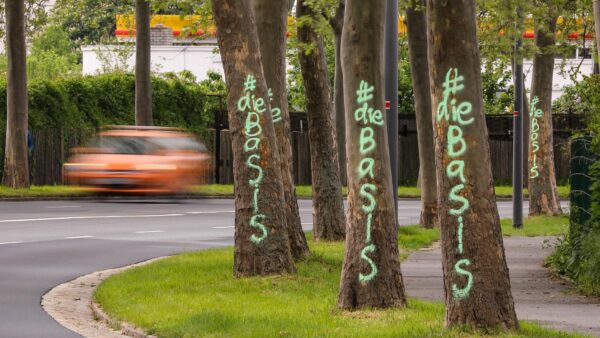 Unbekannte besprühen mehr als 20 Straßenbäume mit Farbe. Foto: TIno Plunert