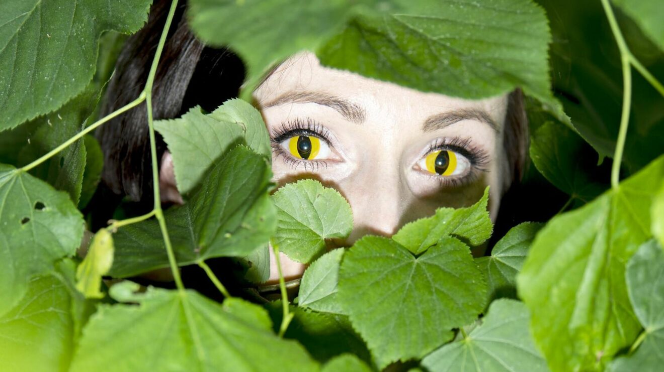 Ein Hör-Spaziergang durch Ostragehege erforscht das Mensch-Tier-Verhältnis. Foto: Sebastian Hoppe