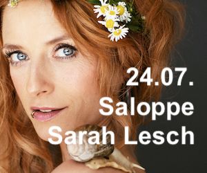 Die Sterne im Konzert