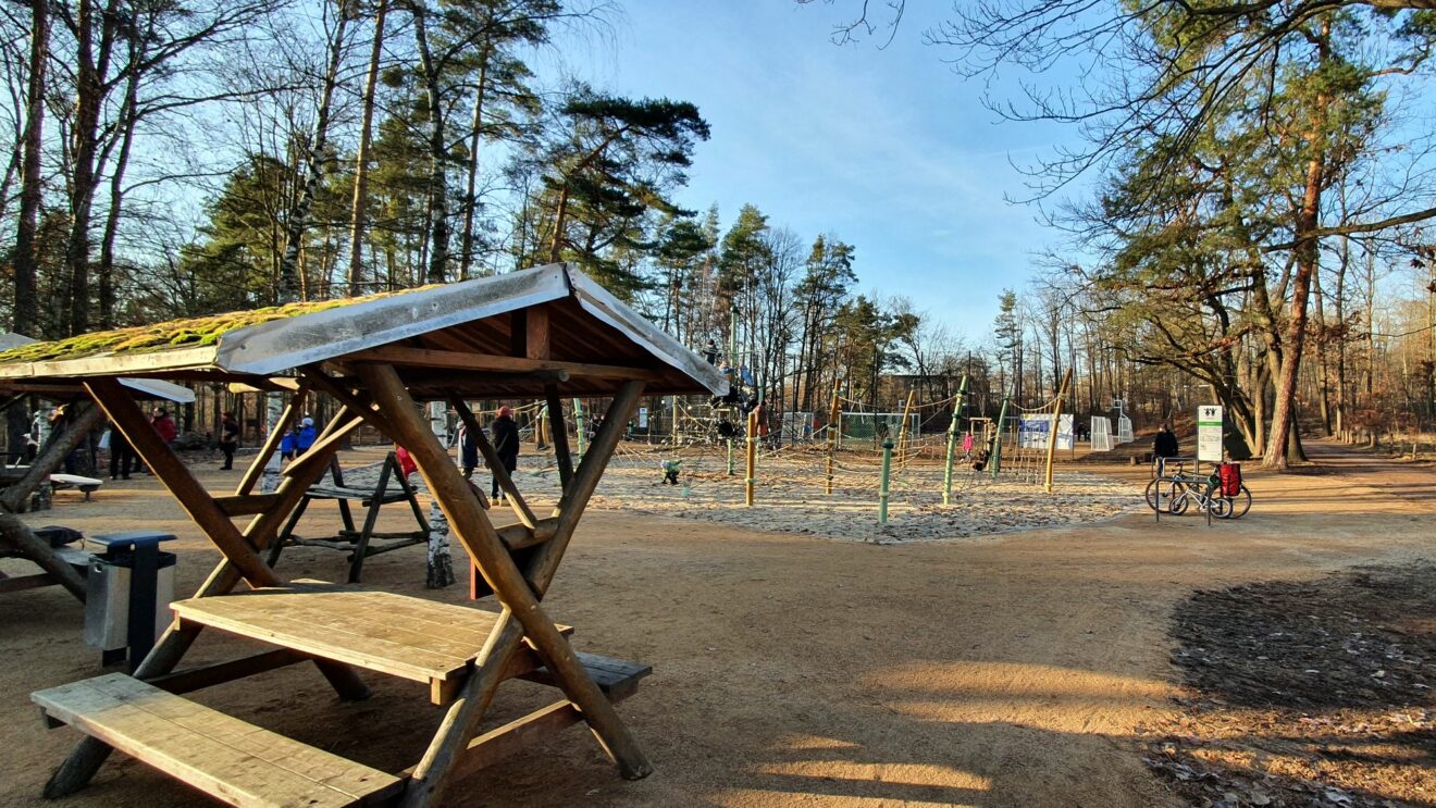 Waldspielplatz im Albertpark