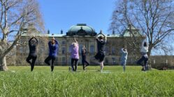 Yoga-Test am Japanischen Palais - Foto: PR/Kleinkunstsommer