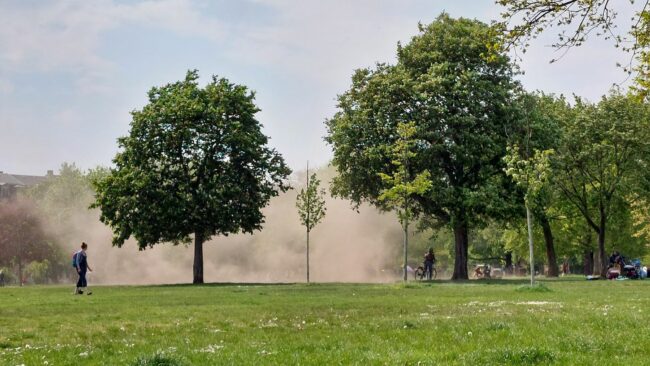 Der Wind sammelte den Staub vom Marktplatz.