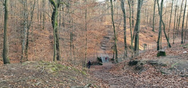 Eisenbornbach im Albertpark - Foto: Archiv Anton Launer/Dezember 2021