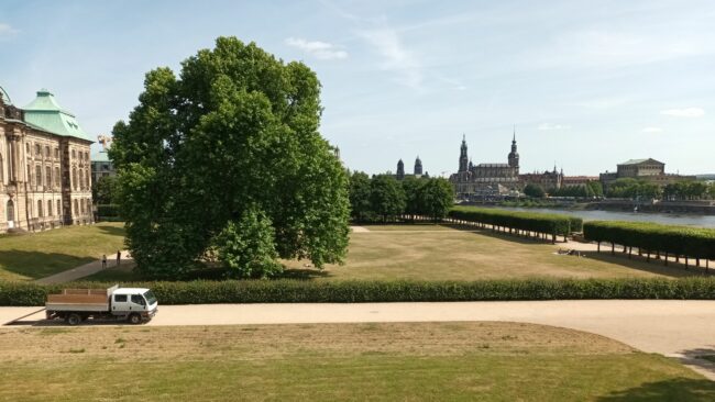 Große Wiese für einen Sommer voller Kultur - Foto: David Finzel