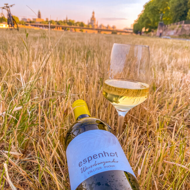 Auf der Elbwiese den Sonnenuntergang genießen – Foto: Jenny Rein