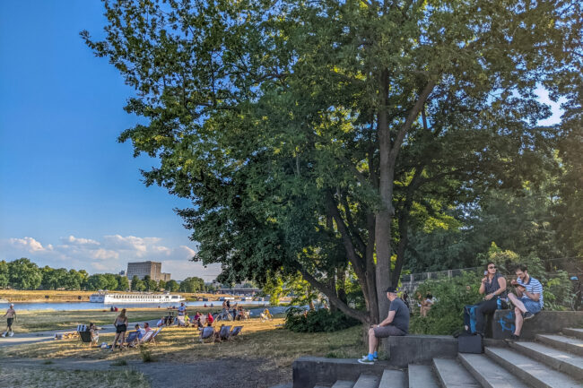 Weine: rot – weiß – rosé. Licht: Sonne oder Schatten. Foto: Thomas Stache