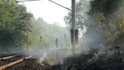 Brand an der Eisenbahnstrecke Richtung Klotzsche - Foto: Roland Halkasch