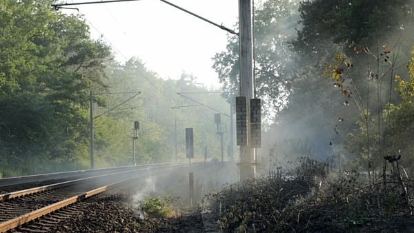 Brand an der Eisenbahnstrecke Richtung Klotzsche - Foto: Roland Halkasch