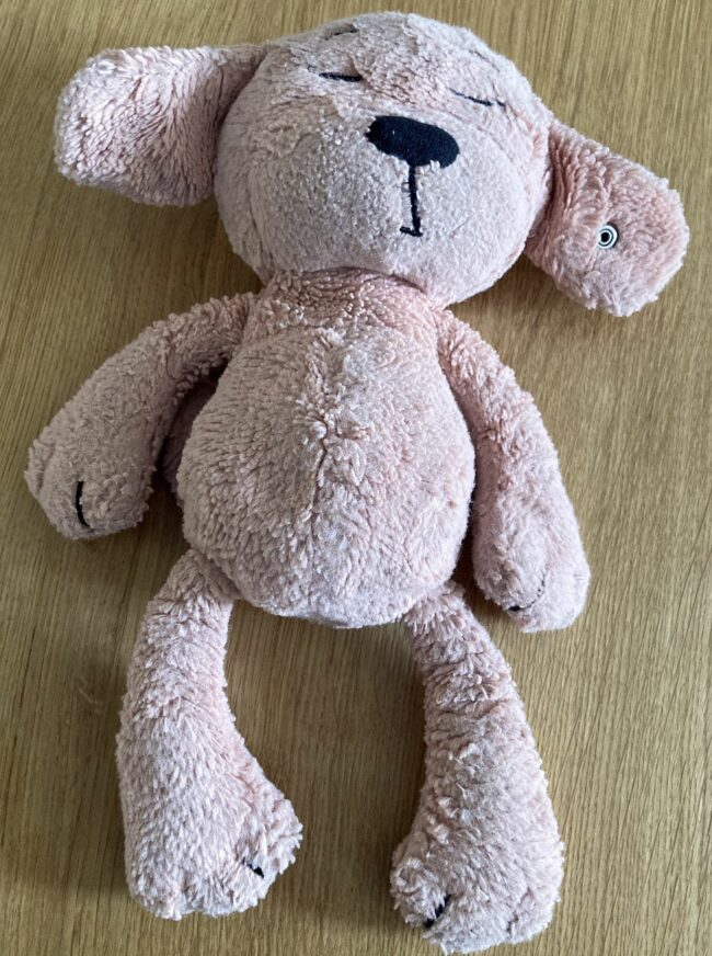 Dieser Teddy wurde auf der Lößnitzstraße gefunden.