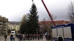 So hoch wie 2015 braucht der Weihnachtsbaum nicht zu sein, der war damals stattliche 15 Meter groß. Aktuell wird eine Tanne oder Fichte mit ca. zehn Metern Höhe gesucht.