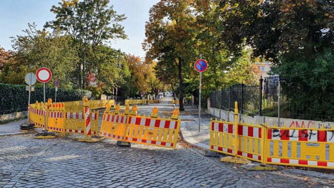 Auf der Forststraße werden Bäume gepflanzt.