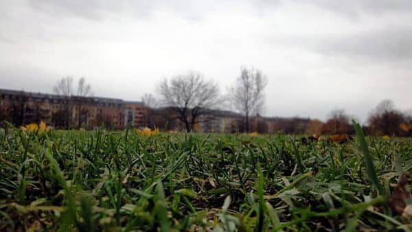 Herbstlicher Alaunplatz