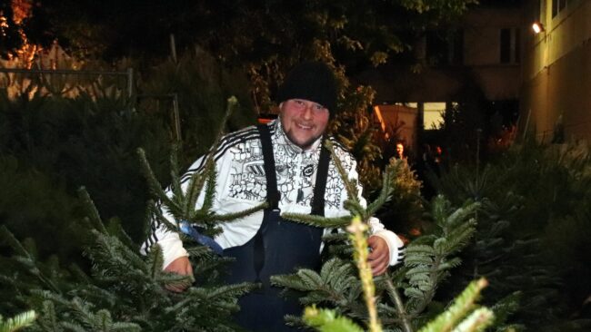 Im Advent wird der alte Trödelbarde wieder zum Weihnachtsbaumsägemeister.