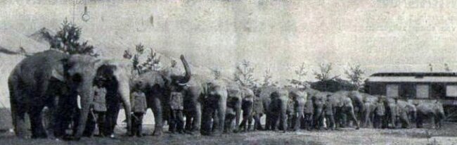 Die legendärere Elefantenparade. Foto aus dem Programmheft.