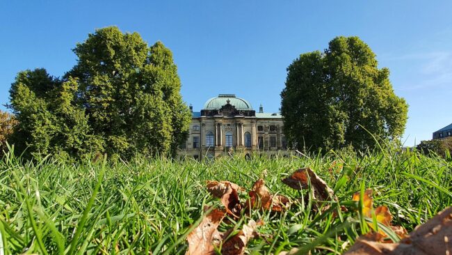 Die Wiese am Japanischen Palais.