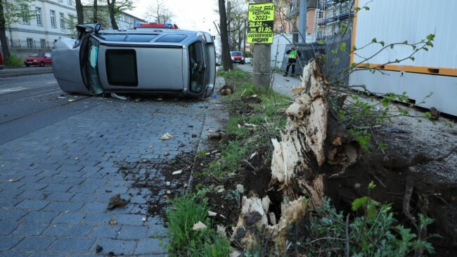 An diesem Baumstumpf scheiterte der Geländewagen.