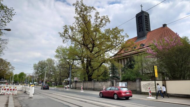 Die Bautzner Straße wird für zwei Jahre zum Nadelöhr. Straßenbahnen fahren ab 2. Mai nicht mehr.