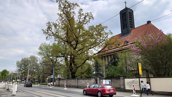 Die Bautzner Straße wird für zwei Jahre zum Nadelöhr. Straßenbahnen fahren ab 2. Mai nicht mehr.