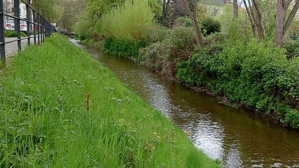 Entdeckungen an der Prießnitz