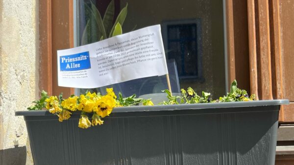 Blumenkasten der Initiative Prießnitzallee - Foto: Archiv Anton Launer