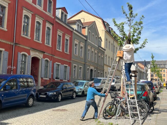 Daniel und Martin bei der Arbeit