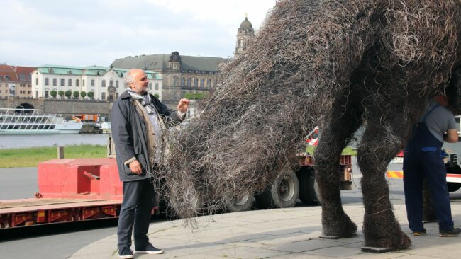 Kurator Jiři Fajt bei der Demontage des Drahthaarhundes "Vulpes God"