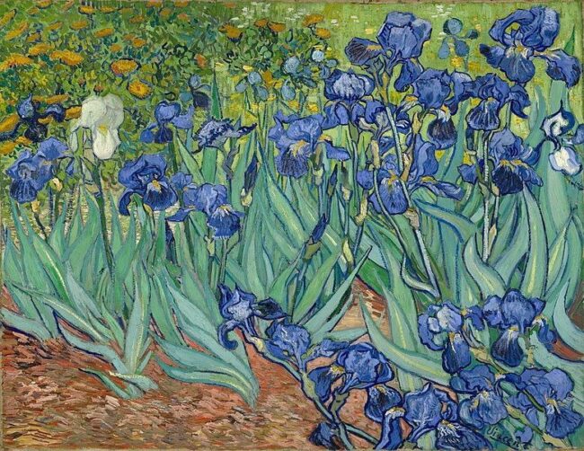 Vincent van Gogh, Iris, Gemälde 19. Jahrhundert